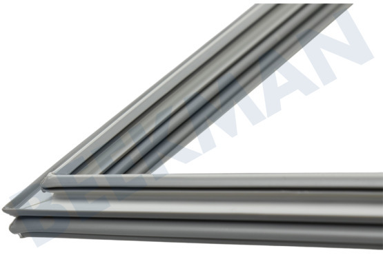 Polar Koelkast Deurrubber