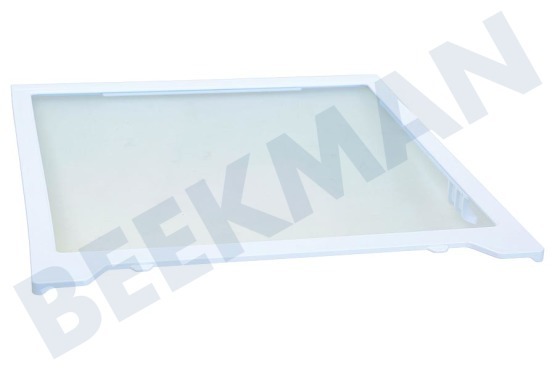 Samsung Kühlschrank DA97-16728A Glasplatte mitte