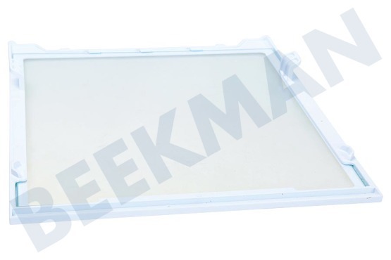 Samsung Kühlschrank DA97-16728A Glasplatte mitte