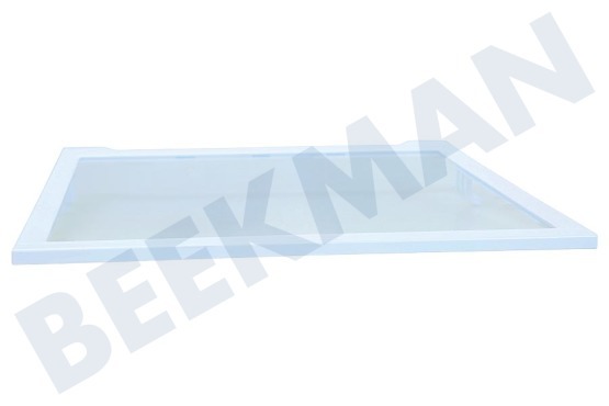 Samsung Kühlschrank DA97-16728A Glasplatte mitte