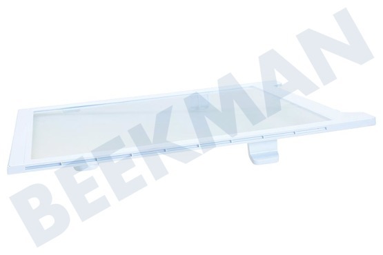 Samsung Kühlschrank DA97-16728A Glasplatte mitte