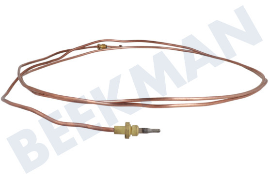 Dometic Koelkast Thermisch Element