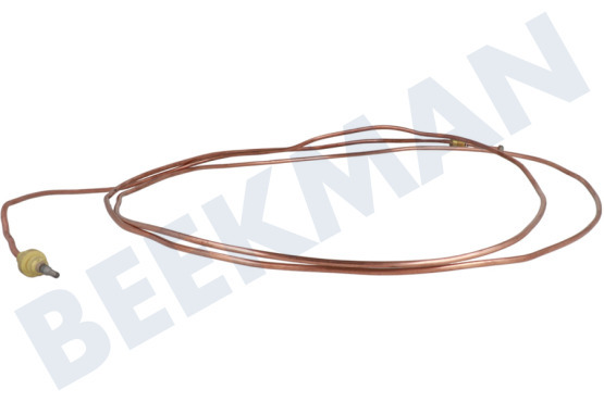 Dometic Koelkast Thermisch Element