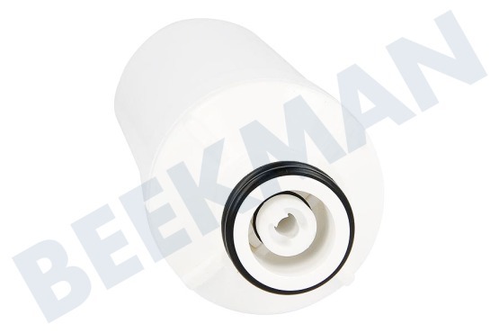 LG Kühlschrank LT1000P Wasserfilter