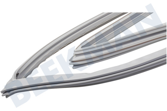 Hisense Kühlschrank Dichtungsgummi Gefrierschrank, magnetisch