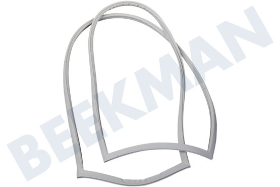 Hisense Kühlschrank Dichtungsgummi Gefrierschrank, magnetisch