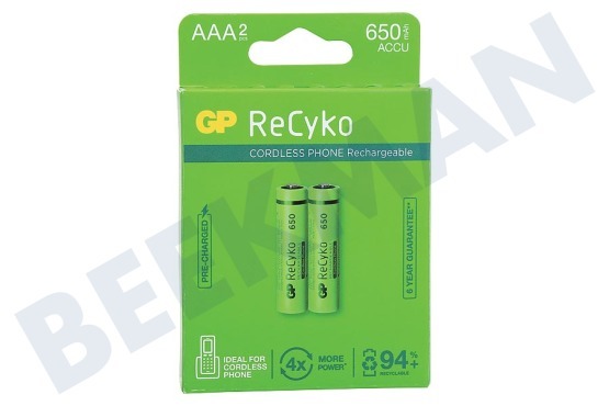 GP  LR03 ReCyko+ AAA 650 - 2 oplaadbare batterijen