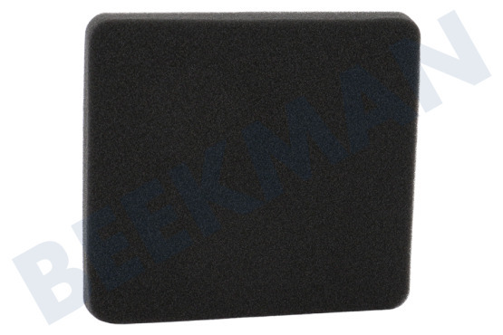 AEG Stofzuiger Filter Motor