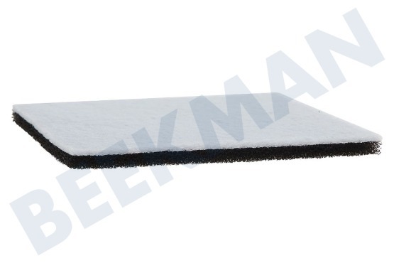 Philips Stofzuiger Filter Motor -vierkant-