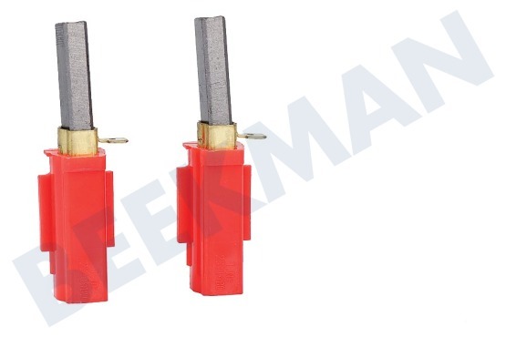 Numatic  Kohlebürste 11x6.1 in Halter