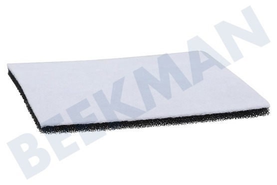 Tomado Staubsauger TDB300 4 Staubsaugerbeutel + Motorfilter