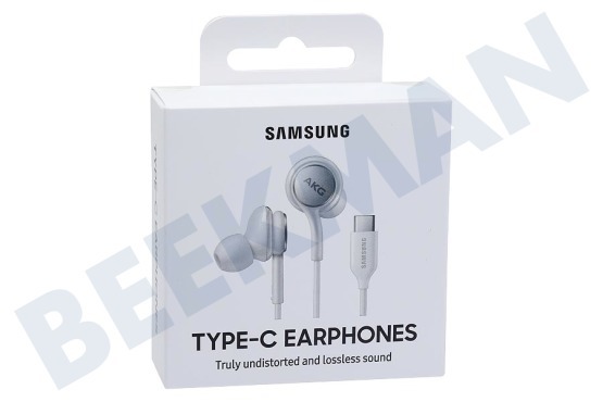 Samsung  EO-IC100BWEGEU Samsung In-Ear Headset Type C Wit