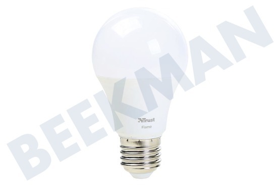 KlikAanKlikUit  ZLED-2209 Dimbare E27 LED Lamp Flame Wit