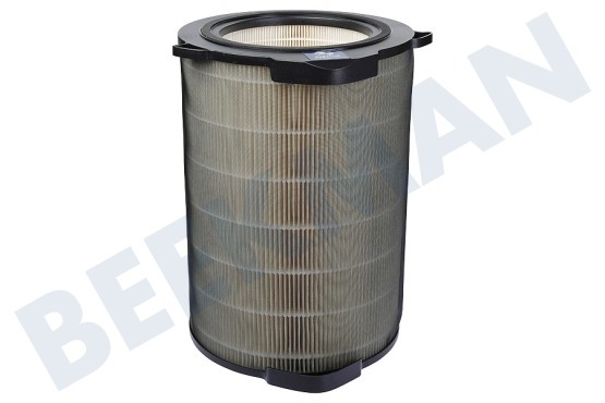 AEG  AFDBTH6 AX9 Breathe360 Pollen Protect Filter