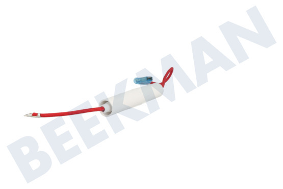 Aeg electrolux Oven-Magnetron Zekering 5KV 800mA