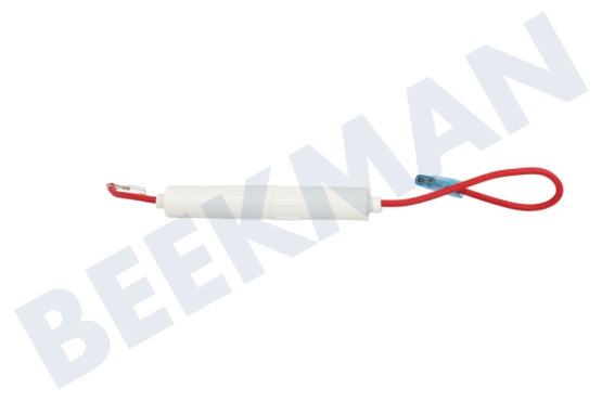 Aeg electrolux Oven-Magnetron Zekering 5KV 800mA