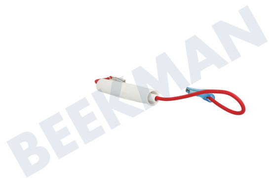 Aeg electrolux Oven-Magnetron Zekering 5KV 800mA