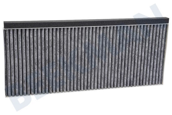 Blaupunkt Afzuigkap 17006837 Filter recirculatiefilter