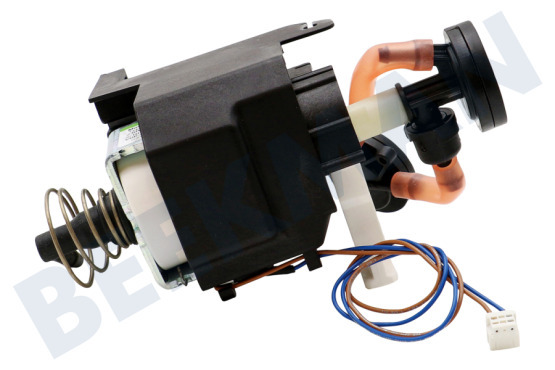 Siemens Kaffeemaschine Pumpe in Halterung