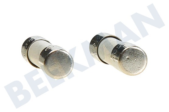 Beltratto Oven-Magnetron 612920, 00612920 Zekering 8A 250V