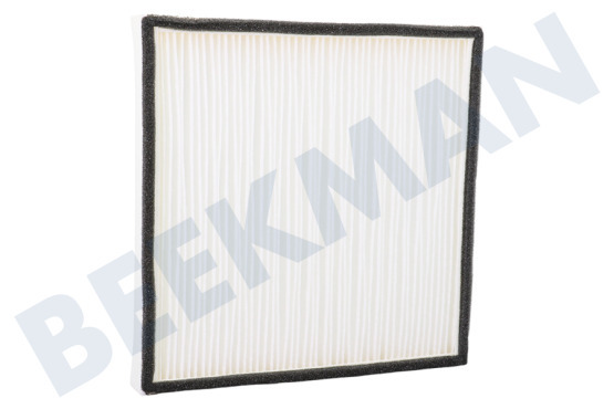 Boneco  Filter Pollenfilter AH300