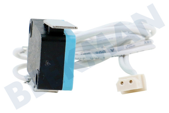 Philips Koffiezetapparaat Microswitch