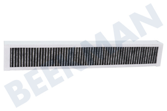 Pelgrim Afzuigkap HF3006 Filter