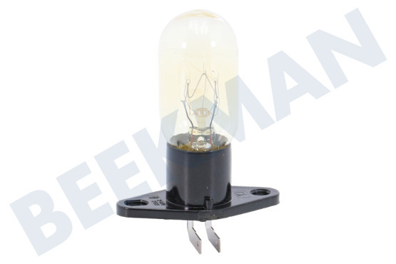 Neff Oven-Magnetron Lamp