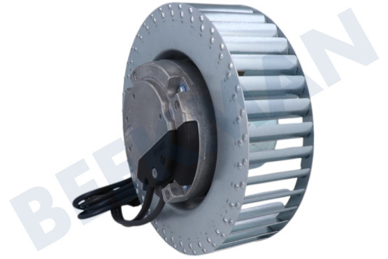 Novy  Motor Turbine