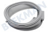 Zerowatt Waschmaschine Manschette Auslauf oval