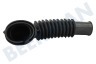Schlauch Schlauch Wanne - Pumpe