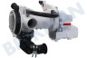 Samsung  DC97-17336L Ablaufpumpe
