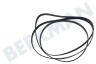 LG Trockner 4400EL1001C Keilriemen 8PH1933