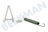 Profilo Spülmaschine 00188097 Feder Türfeder