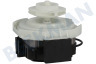 Whirlpool Vaatwasser Circulatiepomp