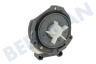 Inventum Spülmaschine Pumpe Ablaufpumpe
