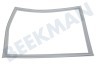 Beko  Afdichtingsrubber Vriezer