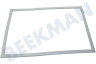 Beko Kühlschrank 4668512200 Dichtungsgummi Kühlschrank