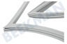 Schaub lorenz Koelkast 4669521000 Afdichtingsrubber Koelkast