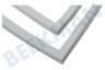 Schaub lorenz Koelkast 4669521000 Afdichtingsrubber Koelkast