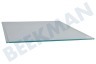 Blomberg Koelkast Glasplaat Legplateau