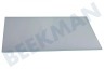 Blomberg Koelkast Glasplaat Legplateau