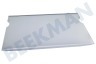 Liebherr Kühlschrank 7272829 Glasplatte groß, komplett