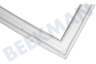 Neutral Kühlschrank Dichtungsgummi 545 x 920mm