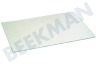 Philips/Whirlpool Koelkast Glasplaat Boven de groentelades, plexiglas
