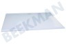 Samsung  DA97-19047A Glasplatte Glasablage, Kühlteil unten, RS8000NC