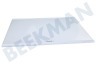 Samsung  DA97-19047A Glasplatte Glasablage, Kühlteil unten, RS8000NC