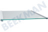 LG Kühlschrank Glasplatte komplett mit Leisten oben/Mitte