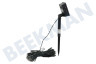 Benson  Solar LED Lichtsnoer 100 LED 12 Meter
