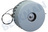 Universeel  Stofzuigermotor ø 143mm 1000 Watt 2-traps